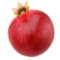 Classic Pomegranate